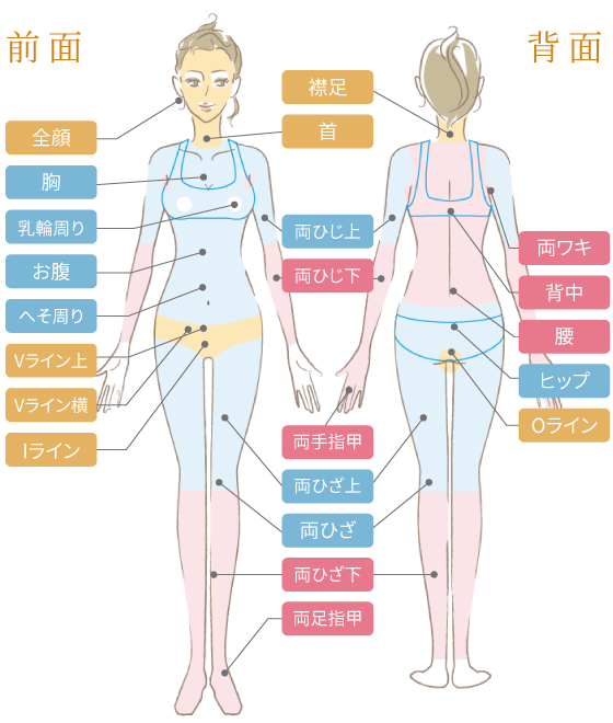 ルシアの脱毛範囲