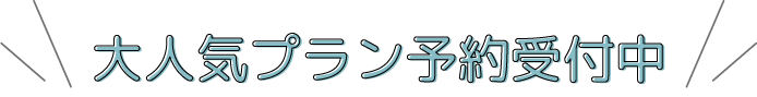 大人気プラン予約受付中