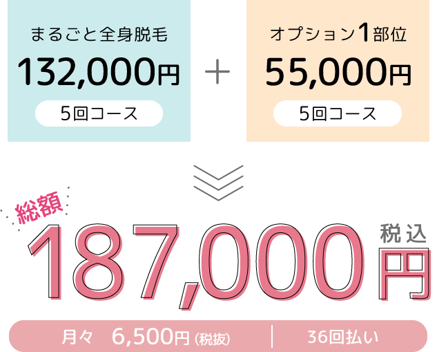 全身脱毛+オプション1部位 総額170,000円!月額5,900円