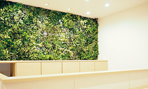 ルシアクリニック福岡天神院の受付