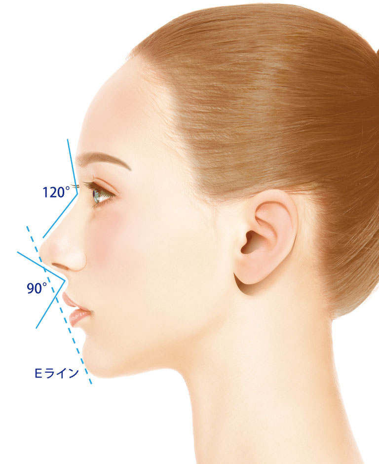 理想的な鼻のバランス