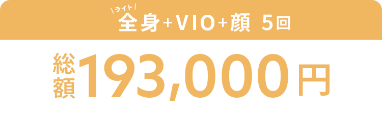 ライト全身+オプション2部位 5回 193,000円